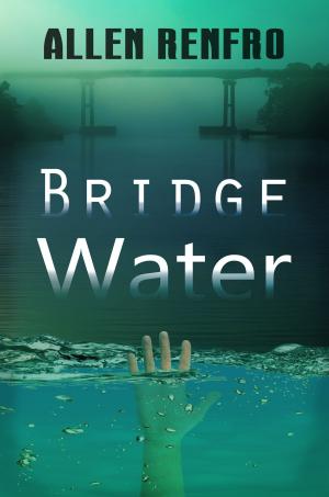 Cover of the book Bridge Water by Jeffrey A. Friedberg