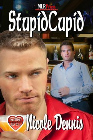 Cover of the book Stupid Cupid by Megan Slayer