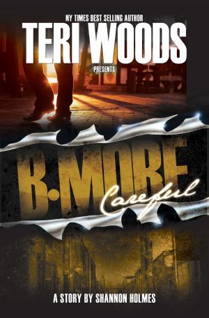Book cover of B-More Careful