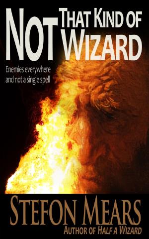 bigCover of the book Not That Kind of Wizard by 
