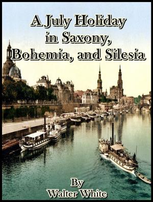 Book cover of A July Holiday in Saxony, Bohemia, and Silesia