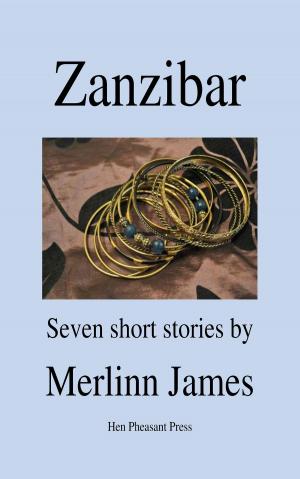 Cover of the book Zanzibar by Timothy Paterson