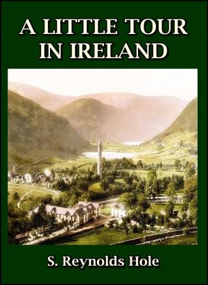 Book cover of A Little Tour In Ireland