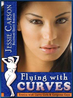 Book cover of Flying with Curves