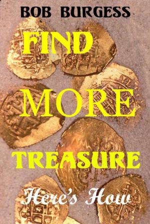 Book cover of FIND MORE TREASURE: Here's How