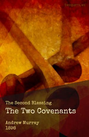 Cover of the book The Two Covenants by Danielle Freitag