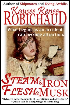 Cover of the book Steam and Iron, Flesh and Musk by Daniel R. Robichaud, C. C. Blake