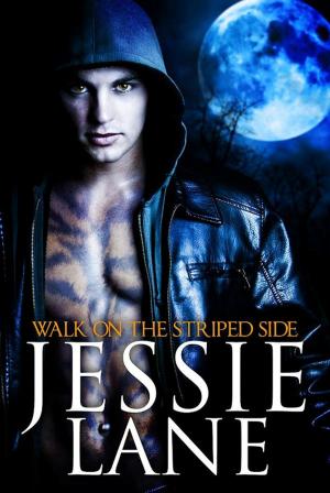 Cover of the book Walk On The Striped Side by Erika Kelly