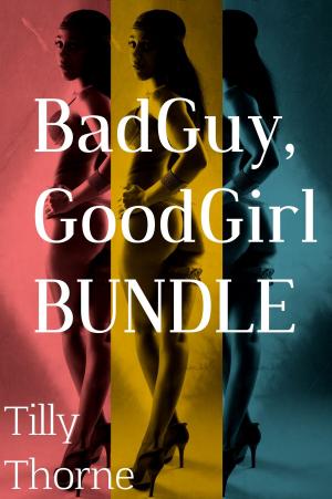 Cover of the book BadGuy, GoodGirl Bundle by Sharon Joss