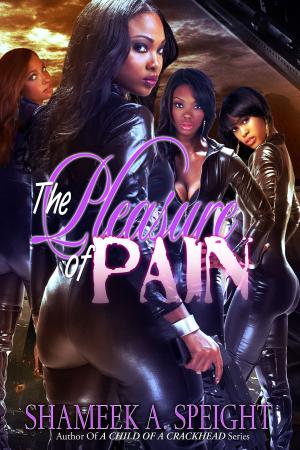 Cover of the book The pleasure of Pain by Shameek Speight
