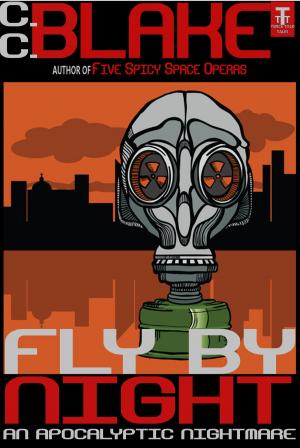 Cover of the book Fly By Night by C. C. Blake, Daniel R. Robichaud