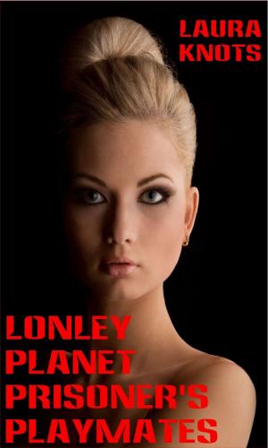 Cover of the book Lonely Planet Prisoner's Playmates by Dani René