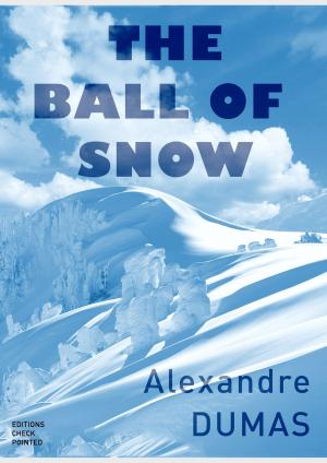 bigCover of the book The Ball of Snow by 