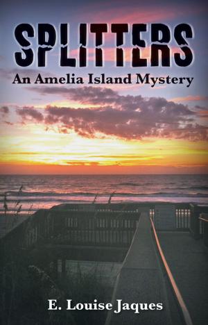 Cover of the book Splitters, An Amelia Island Mystery by Jenn Sadai
