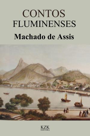 Cover of the book Contos Fluminenses by Janet Syas Nitsick
