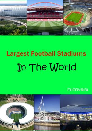 Book cover of Largest Football Stadiums In The World