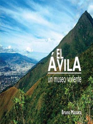 Cover of the book El Avila by Ludwing V Romero F