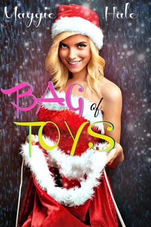 Cover of the book Bag of Toys by Raymund Hensley