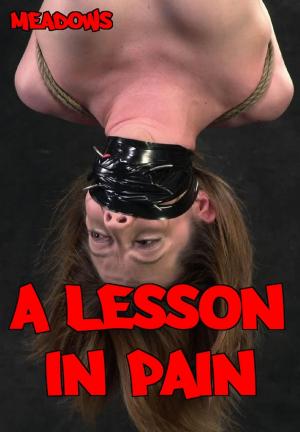 Cover of the book A Lesson in Pain by Richard Hammerfell