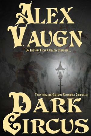 bigCover of the book Dark Circus by 