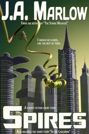 Cover of the book Spires by Robert Ropars