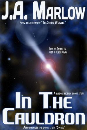 Cover of the book In the Cauldron by Debra L Martin, David W Small
