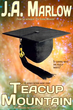 Cover of the book Teacup Mountain by V.L. Valleroy