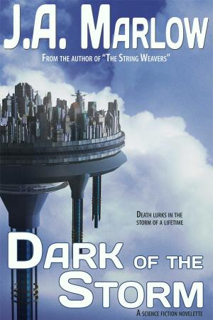 Cover of the book Dark of the Storm by J.A. Marlow