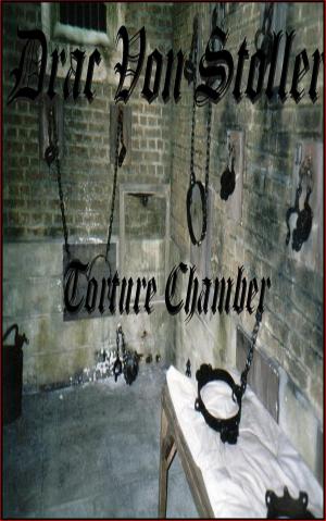 Cover of the book Torture Chamber by Drac Von Stoller
