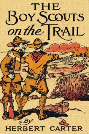 Cover of the book The Boy Scouts on the Trail by Rodney C. Johnson