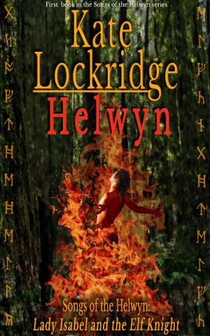 Cover of the book Helwyn by Bev Haynes