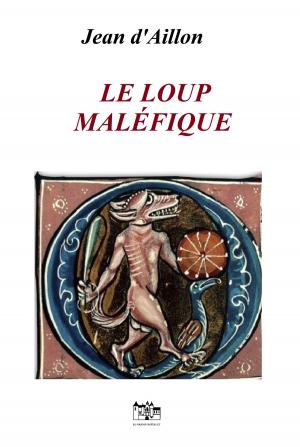Book cover of Le loup maléfique