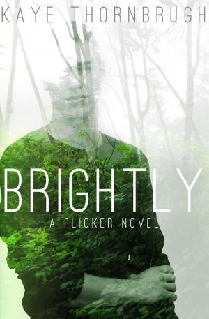 Book cover of Brightly