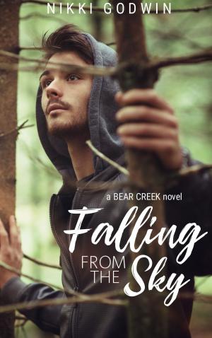 Cover of the book Falling From The Sky by J.I. Q.