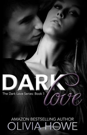 Cover of the book Dark Love by Brenda J. Webb