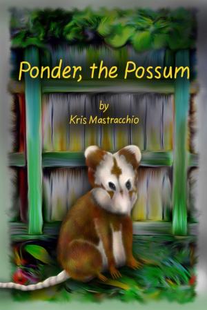 Book cover of Ponder the Possum