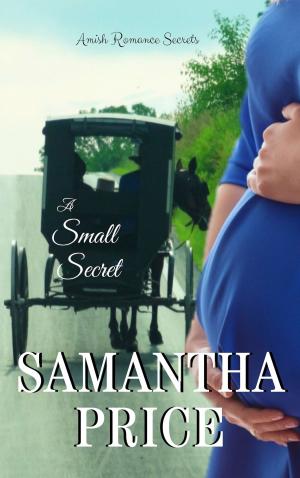 Book cover of A Small Secret