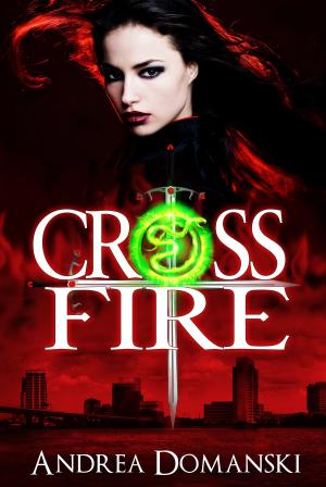 Cover of the book Crossfire (The Omega Group) (Book 1) by Patrick T. Kilgallon
