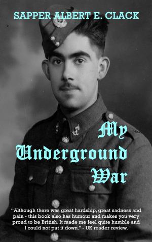 Cover of the book My Underground War by Joe Lunkas