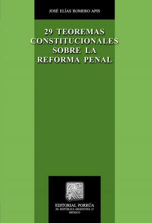 Cover of the book 29 Teoremas constitucionales sobre la Reforma Penal by José Dávalos