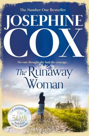 Cover of the book The Runaway Woman by Stephen McGinty