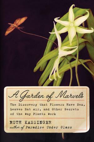 Book cover of A Garden of Marvels