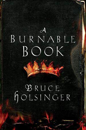 Cover of the book A Burnable Book by Emlyn Rees, Stephen Booth, Mari Hannah, Aline Templeton, Frances Fyfield, Rory Clements, Leigh Russell, Nancy Allen, Brian McGilloway, Kristi Belcamino, Margie Orford, James Lilliefors, Sam Masters, Carey Baldwin