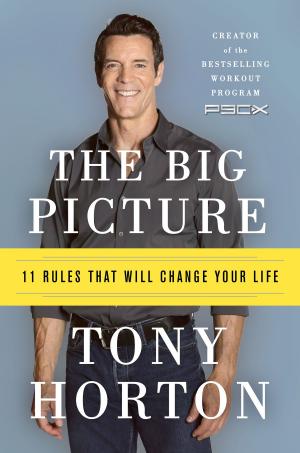 Cover of the book The Big Picture by Joseph Luzzi