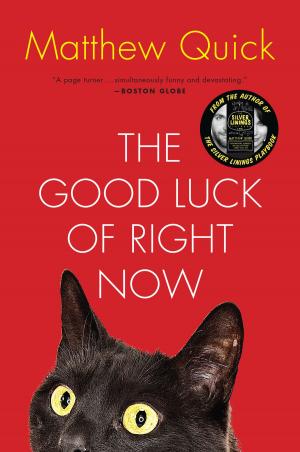 Book cover of The Good Luck of Right Now