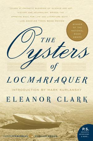 bigCover of the book The Oysters of Locmariaquer by 