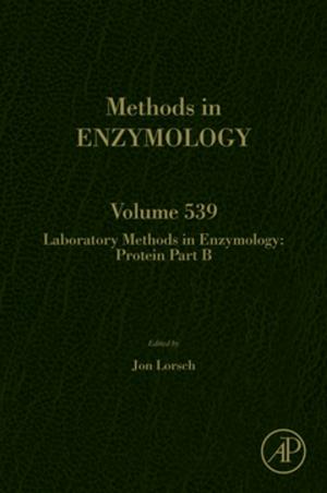 Cover of the book Laboratory Methods in Enzymology: Protein Part B by Vinny R. Sastri, J.R. Perumareddi, V. Ramachandra Rao, G.V.S. Rayudu, J.-C. G. Bünzli