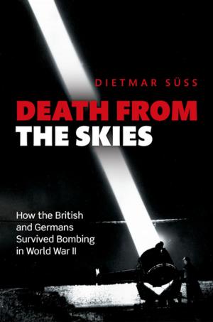 Book cover of Death from the Skies