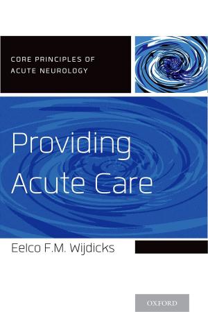 Cover of the book Providing Acute Care by Willie Hiatt