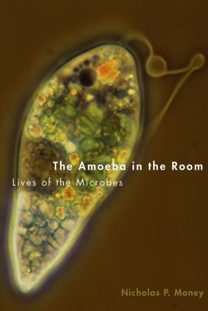 Cover of the book The Amoeba in the Room by Michael B. A. Oldstone, M.D.